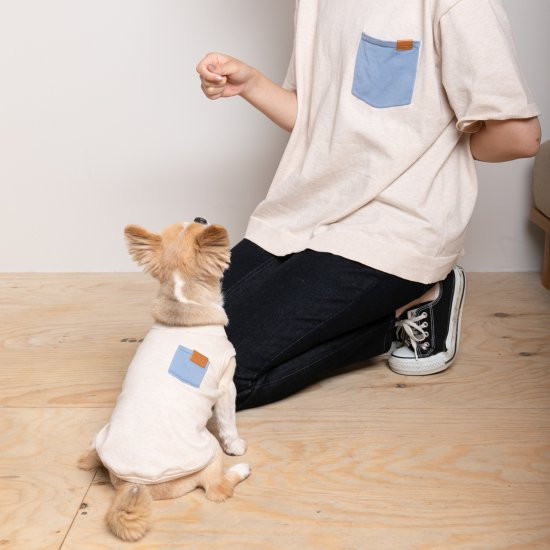 bicolor cotton knit for DOG 〈 blue × beige 〉