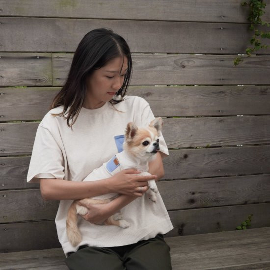 bicolor cotton knit for DOG 〈 blue × beige 〉