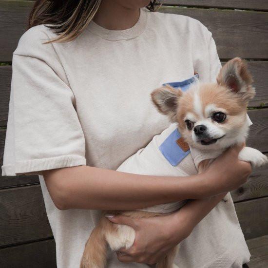 bicolor cotton knit for DOG 〈 blue × beige 〉