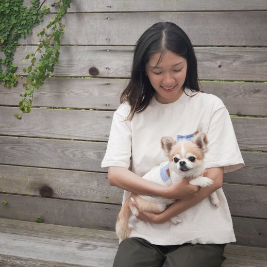 bicolor cotton knit for DOG 〈 blue × beige 〉