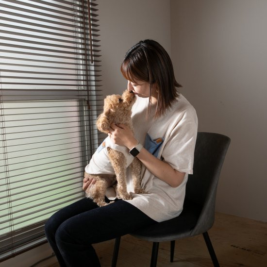 bicolor cotton knit for DOG 〈 blue × beige 〉