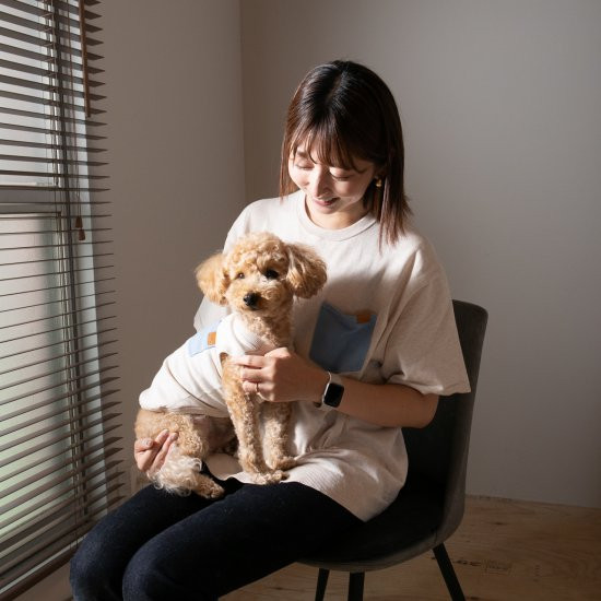 bicolor cotton knit for DOG 〈 blue × beige 〉