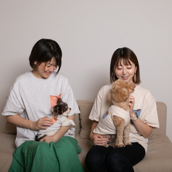 bicolor cotton knit for DOG 〈 blue × beige 〉