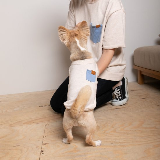 bicolor cotton knit for DOG 〈 blue × beige 〉