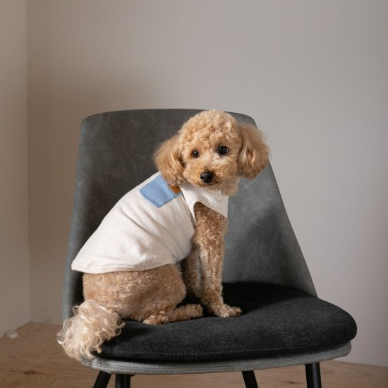 bicolor cotton knit for DOG 〈 blue × beige 〉