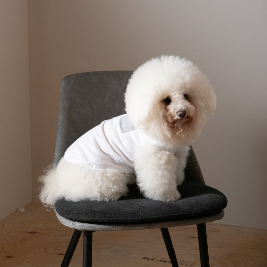 bicolor cotton knit for DOG 〈 gray × white 〉