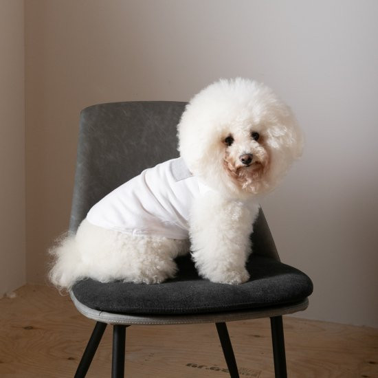 bicolor cotton knit for DOG 〈 gray × white 〉