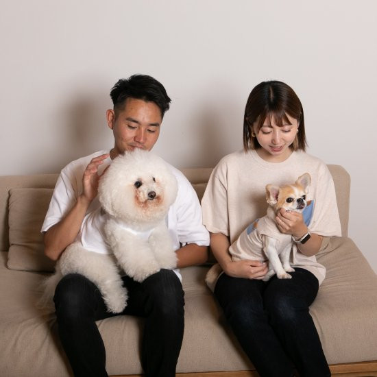 bicolor cotton knit for DOG 〈 gray × white 〉