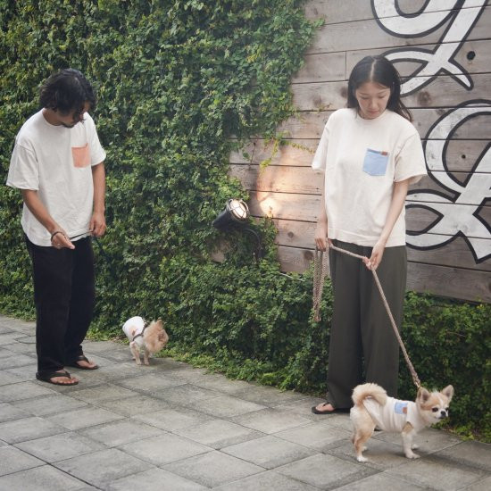 【SET】 bicolor cotton knit 〈 blue × beige 〉