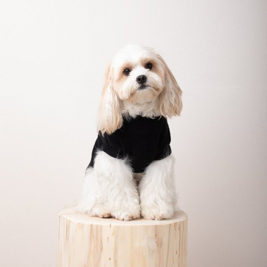 cotton mole oversize knit for DOG with.006〈 black 〉