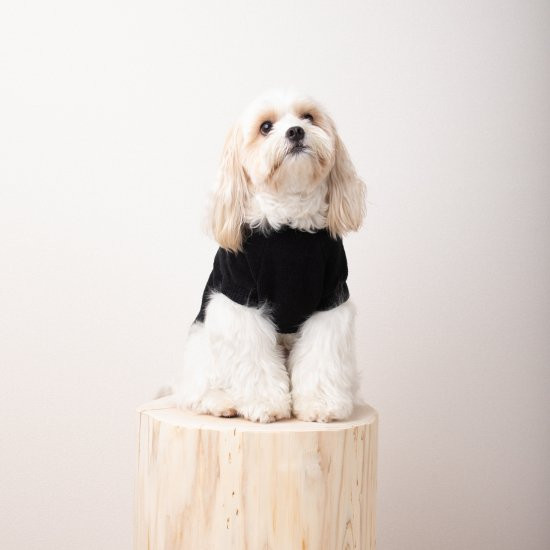 cotton mole oversize knit for DOG with.006〈 black 〉