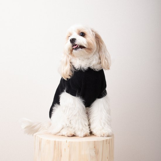 cotton mole oversize knit for DOG with.006〈 black 〉