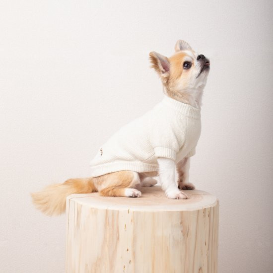 cotton mole oversize knit for DOG with.006〈 ivory 〉