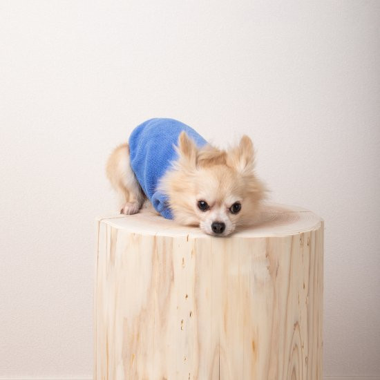 cotton mole oversize knit for DOG with.006〈 blue 〉