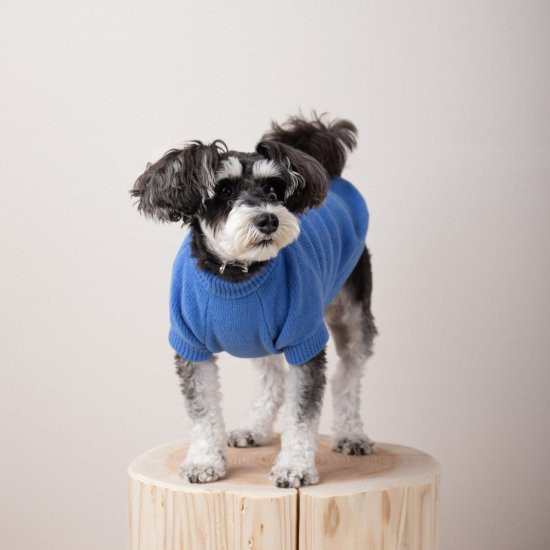 cotton mole oversize knit for DOG with.006〈 blue 〉