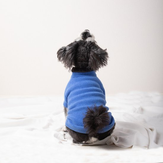 cotton mole oversize knit for DOG with.006〈 blue 〉