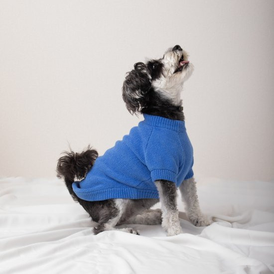 cotton mole oversize knit for DOG with.006〈 blue 〉