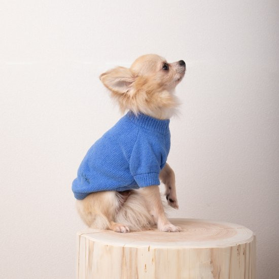 cotton mole oversize knit for DOG with.006〈 blue 〉