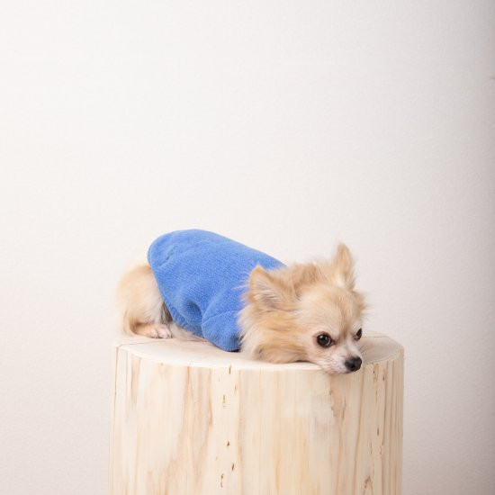 cotton mole oversize knit for DOG with.006〈 blue 〉