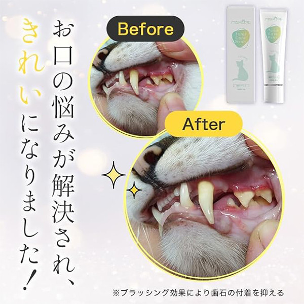 ミシュワン MISHONE トータルケアニャン 猫 歯磨き 歯磨きジェル 猫用 30g（歯ブラシ付き）口腔ケア 猫用歯ブラシ オールインワン 肉球ケア 涙やけ