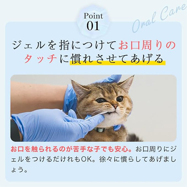 ミシュワン MISHONE トータルケアニャン 猫 歯磨き 歯磨きジェル 猫用 30g（歯ブラシ付き）口腔ケア 猫用歯ブラシ オールインワン 肉球ケア 涙やけ