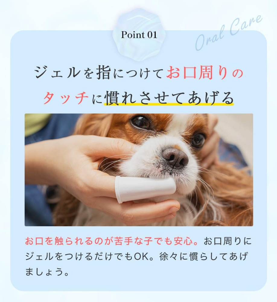 ミシュワン MISHONE トータルケアワン 犬 歯磨き 歯磨きジェル 犬用 30g（歯ブラシ付き） 口腔ケア 犬用歯ブラシ オールインワン 肉球ケア 涙やけ