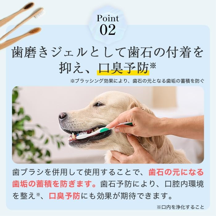 ミシュワン MISHONE トータルケアワン 犬 歯磨き 歯磨きジェル 犬用 30g（歯ブラシ付き） 口腔ケア 犬用歯ブラシ オールインワン 肉球ケア 涙やけ