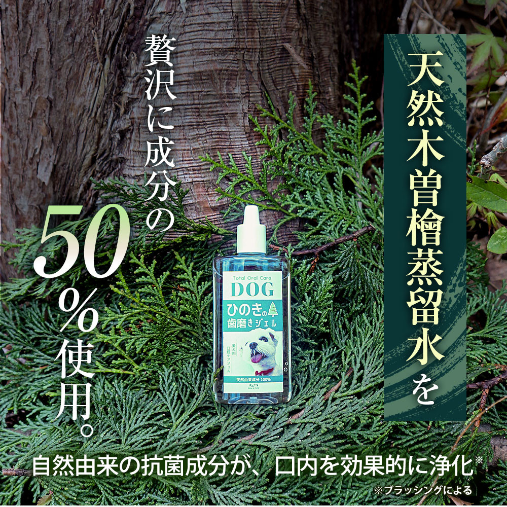 Bow＆Mew ひのき成分 歯磨き ジェル 犬用 ≪50g≫