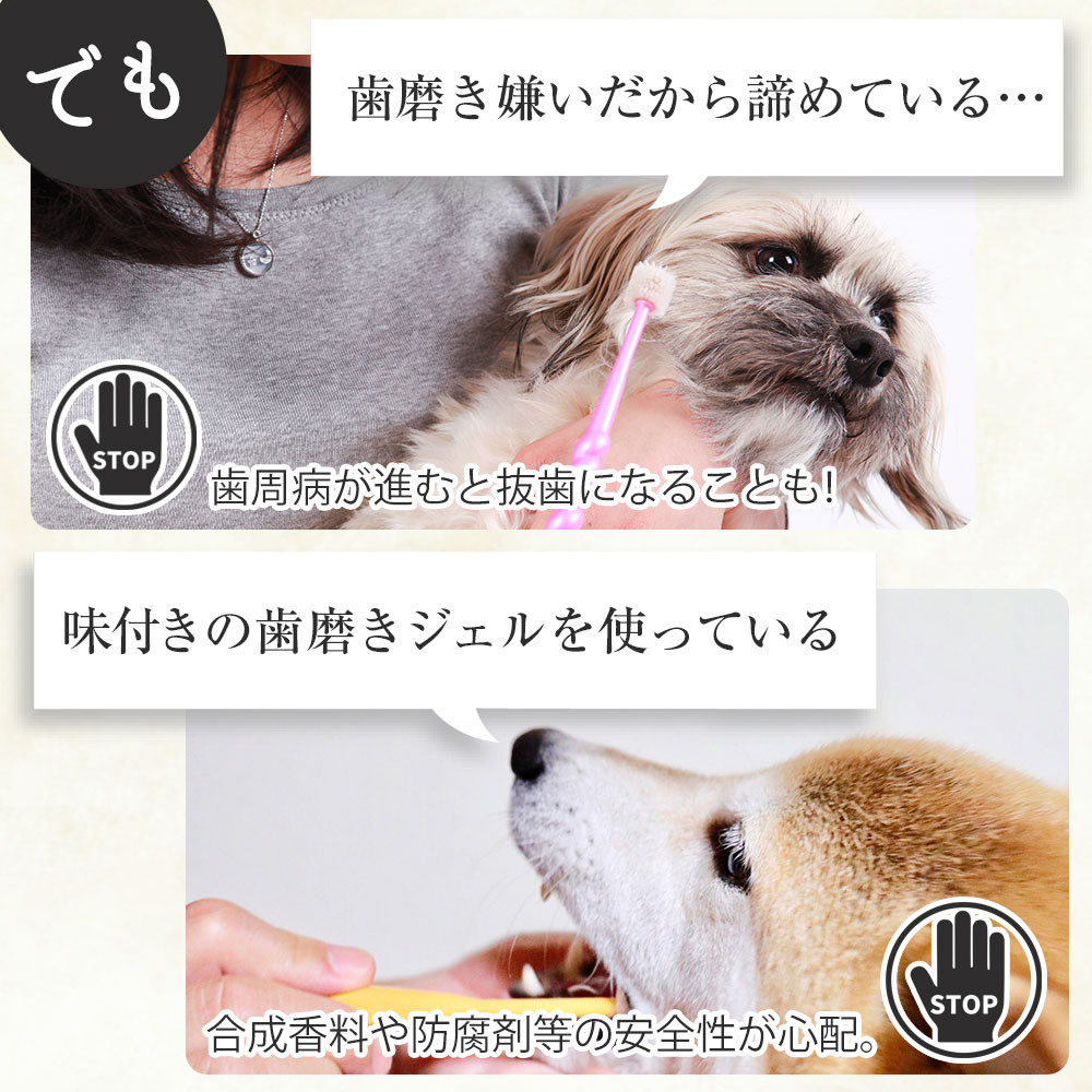 Bow＆Mew ひのき成分 歯磨き ジェル 犬用 ≪50g≫