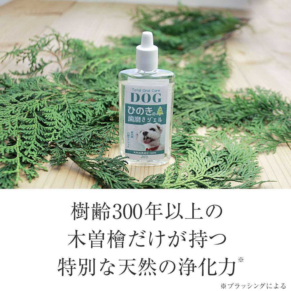 Bow＆Mew ひのき成分 歯磨き ジェル 犬用 ≪50g≫