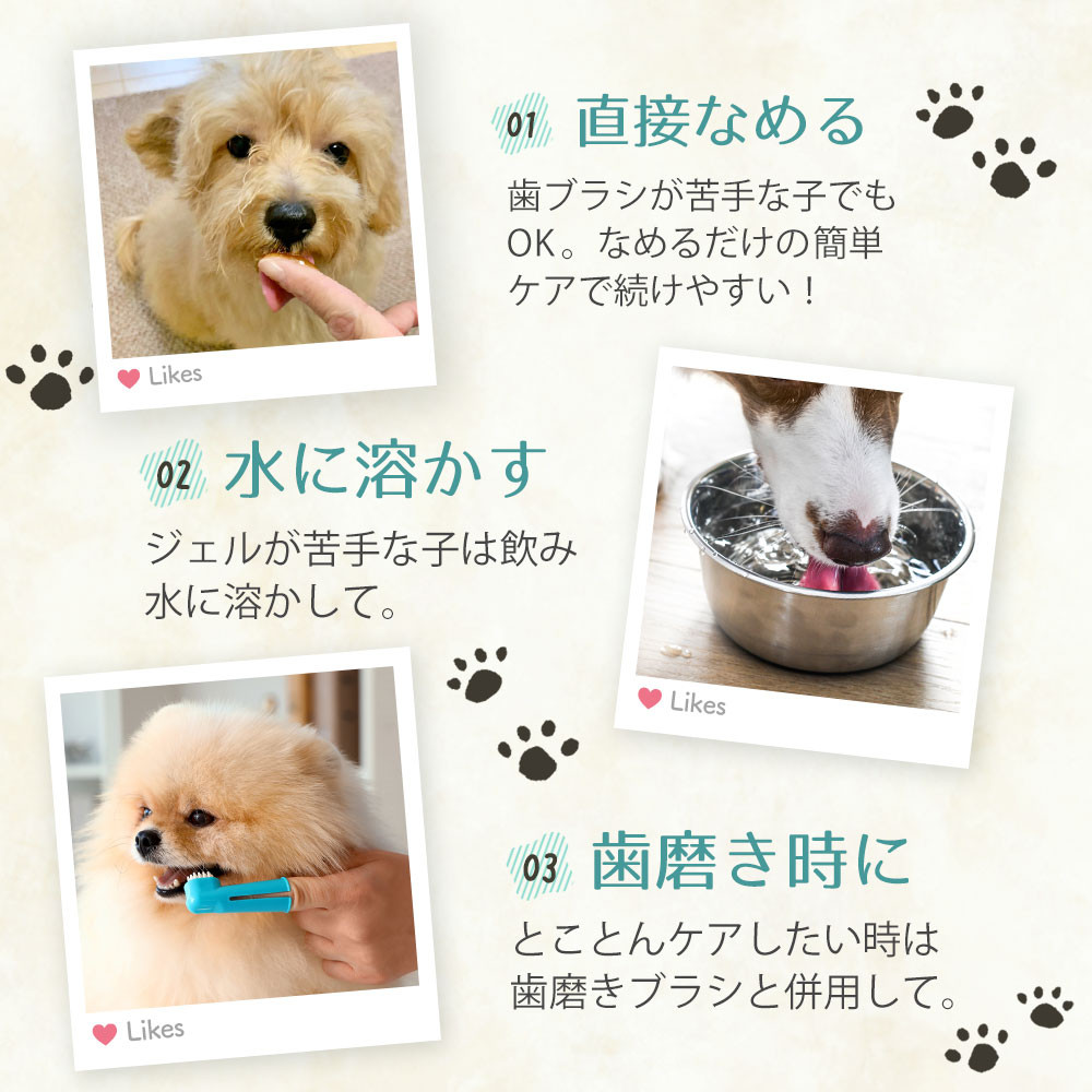 Bow＆Mew ひのき成分 歯磨き ジェル 犬用 ≪50g≫