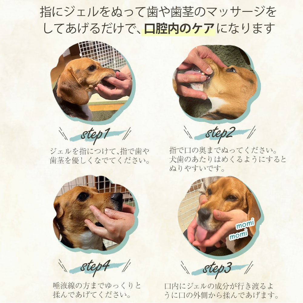 Bow＆Mew ひのき成分 歯磨き ジェル 犬用 ≪50g≫