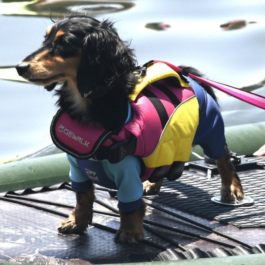 ウェーブライダー エコ ライフジャケット 犬用　 【XSサイズ】  犬  GEWALK    ライフジャケット