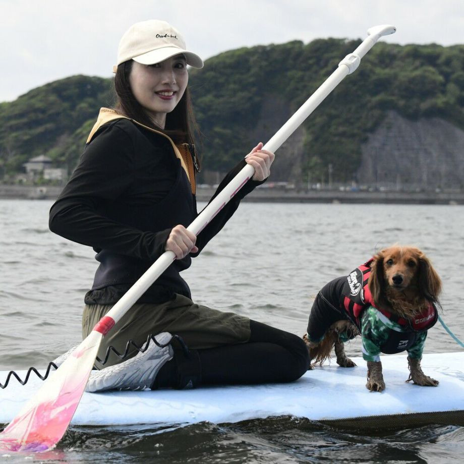 ウェーブライダー エコ ライフジャケット 犬用　 【XSサイズ】  犬  GEWALK    ライフジャケット