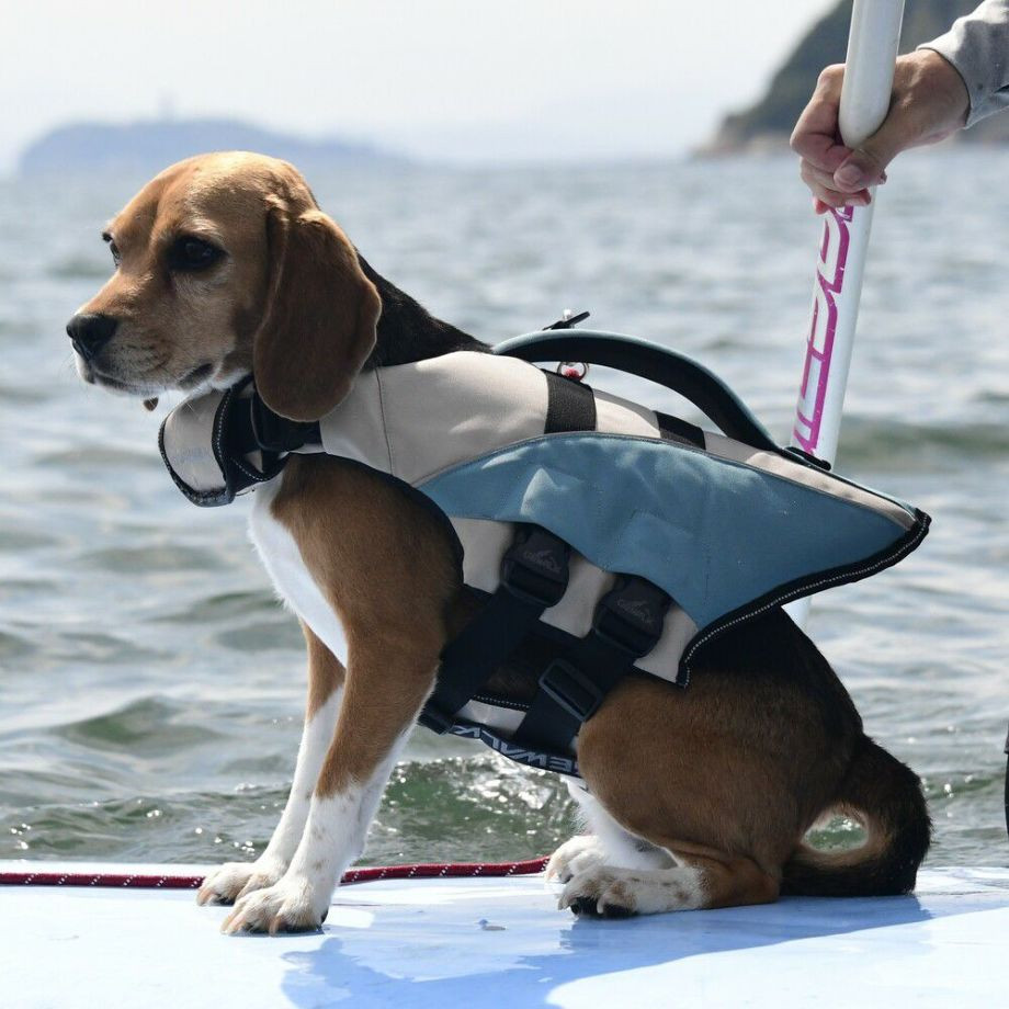 ウェーブライダー エコ ライフジャケット 犬用　 【Sサイズ】  犬  GEWALK    ライフジャケット