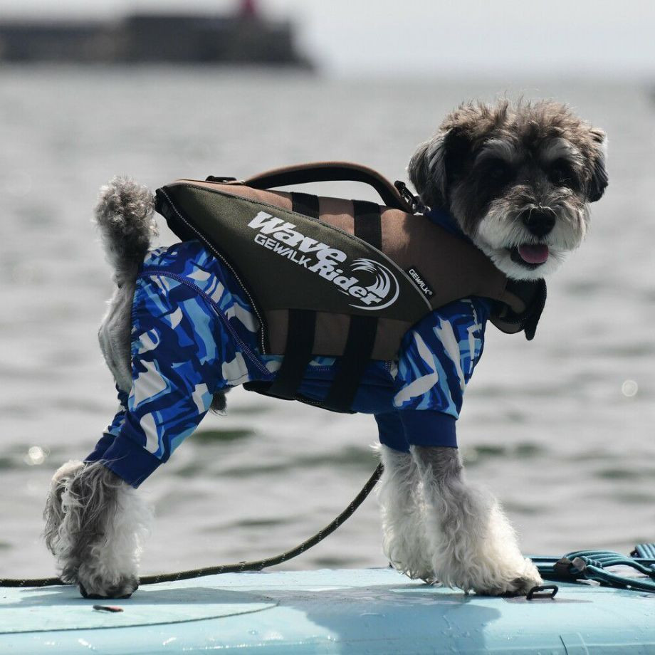 ウェーブライダー エコ ライフジャケット 犬用　 【Sサイズ】  犬  GEWALK    ライフジャケット