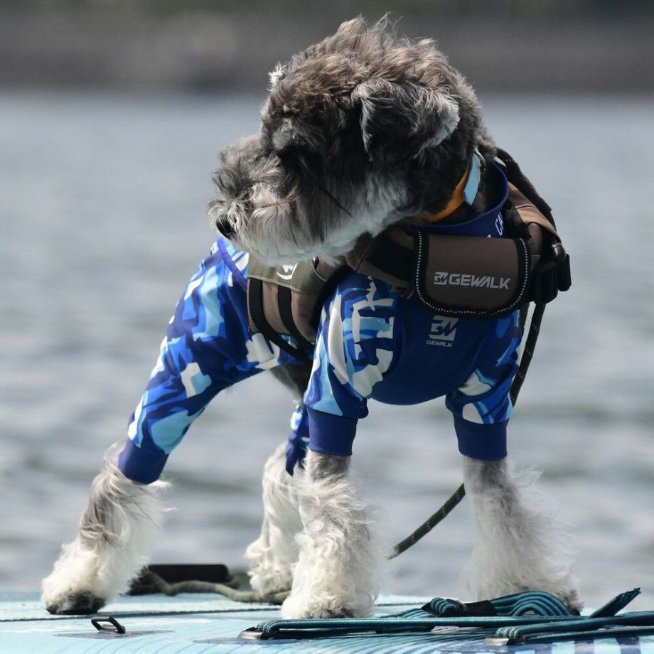 ウェーブライダー エコ ライフジャケット 犬用　 【Sサイズ】  犬  GEWALK    ライフジャケット