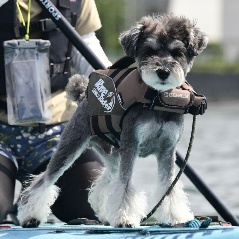 ウェーブライダー エコ ライフジャケット 犬用　 【Sサイズ】  犬  GEWALK    ライフジャケット