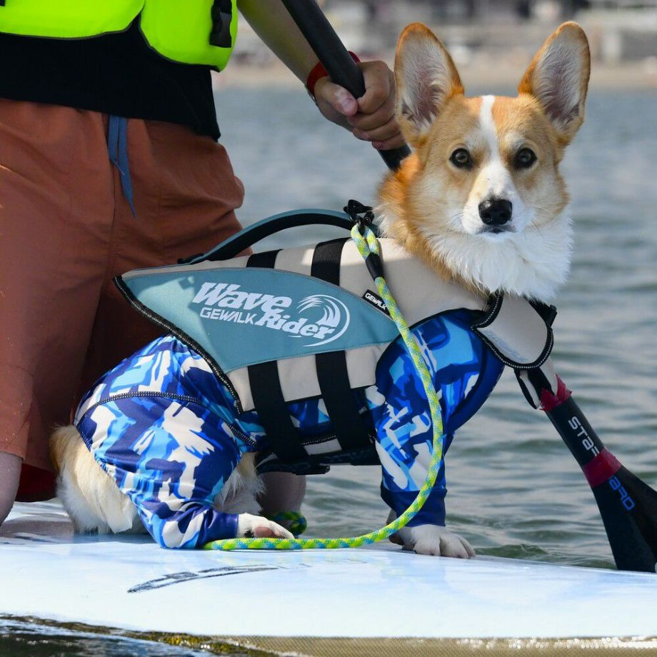 ウェーブライダー エコ ライフジャケット 犬用　 【Sサイズ】  犬  GEWALK    ライフジャケット