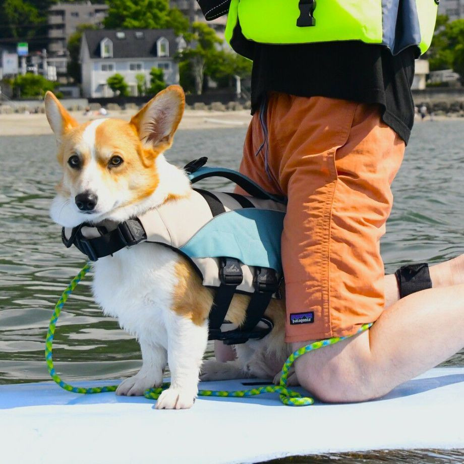 ウェーブライダー エコ ライフジャケット 犬用　 【Sサイズ】  犬  GEWALK    ライフジャケット