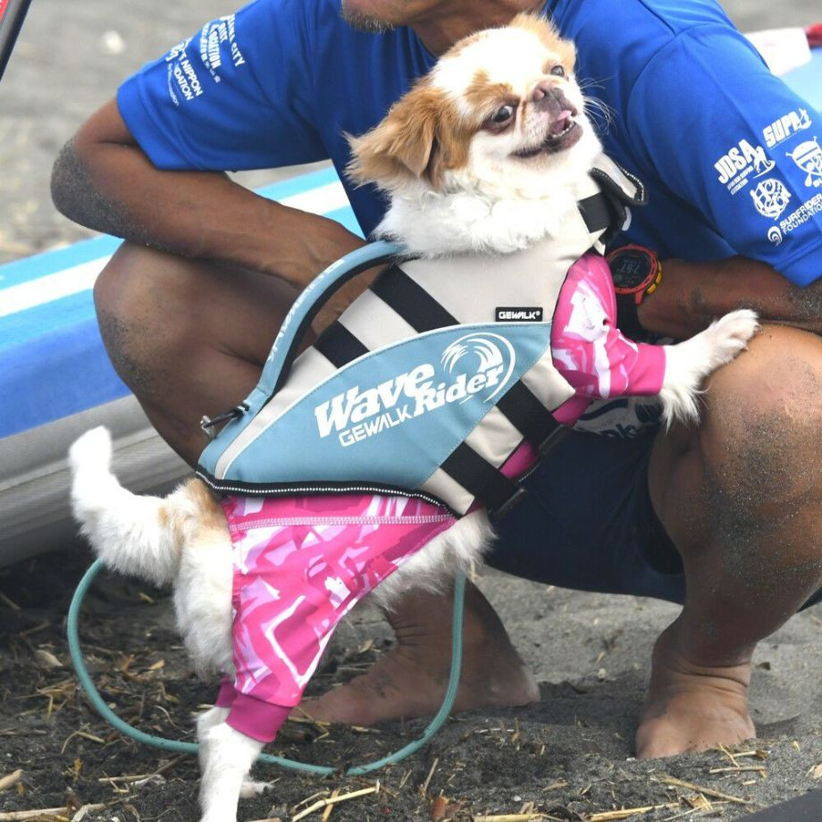 ウェーブライダー エコ ライフジャケット 犬用　 【Sサイズ】  犬  GEWALK    ライフジャケット