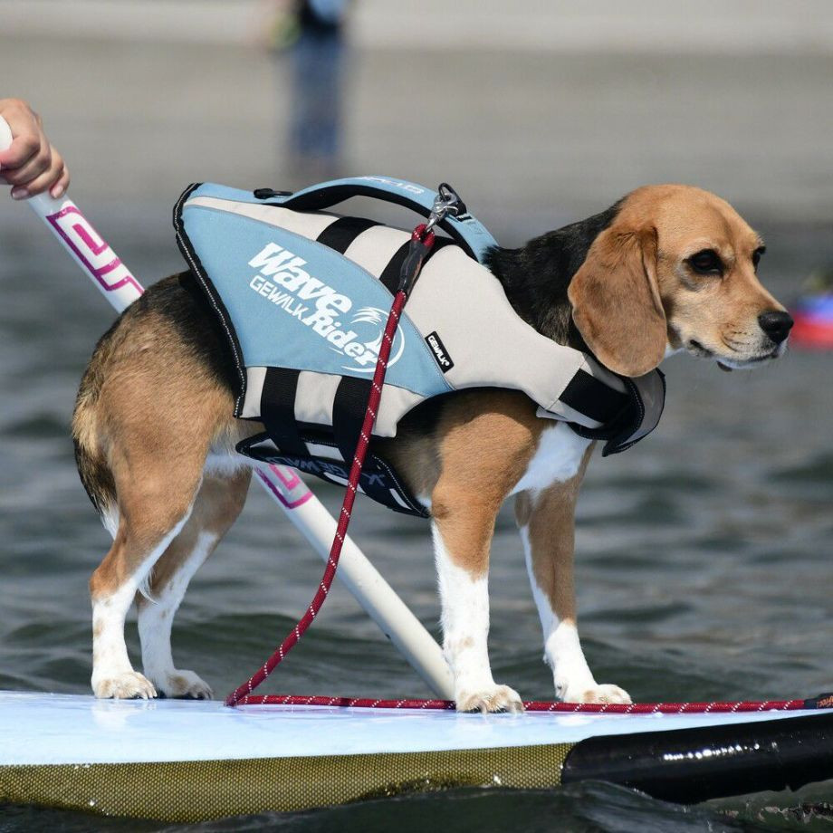 ウェーブライダー エコ ライフジャケット 犬用　 【Sサイズ】  犬  GEWALK    ライフジャケット