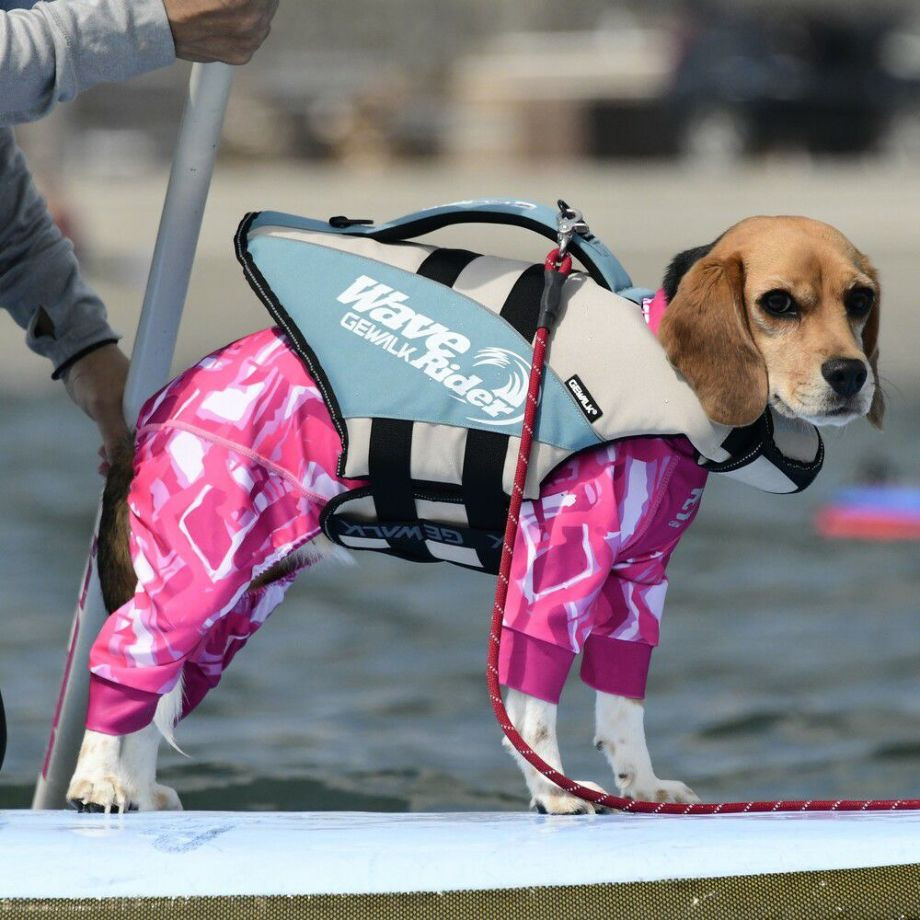 ウェーブライダー エコ ライフジャケット 犬用　 【Sサイズ】  犬  GEWALK    ライフジャケット