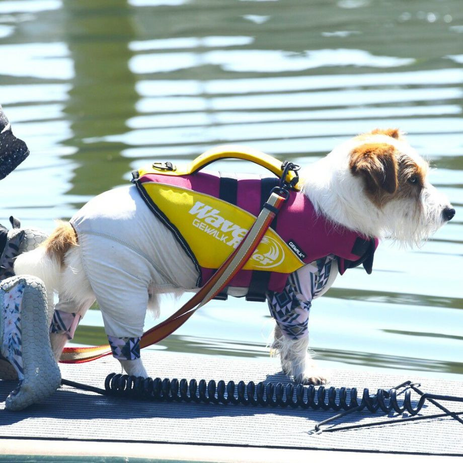 ウェーブライダー エコ ライフジャケット 犬用　 【Sサイズ】  犬  GEWALK    ライフジャケット