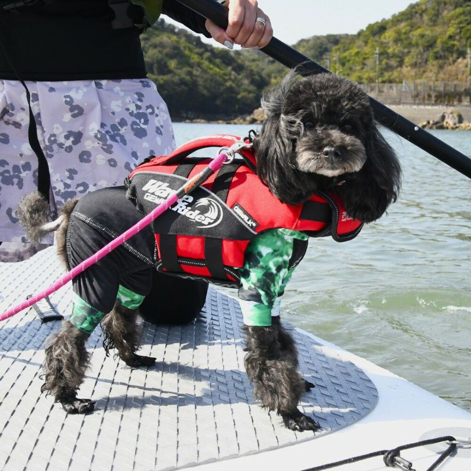 ウェーブライダー エコ ライフジャケット 犬用 【XXSサイズ】  犬  GEWALK    ライフジャケット