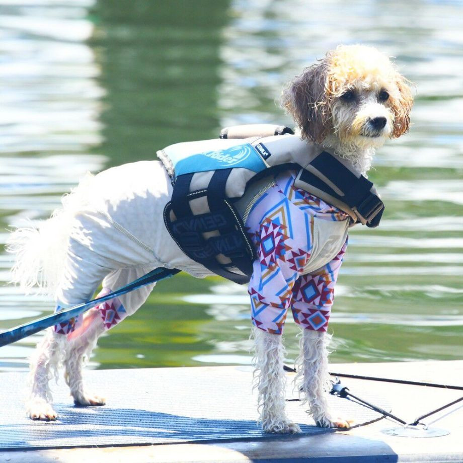 ウェーブライダー エコ ライフジャケット 犬用 【XXSサイズ】  犬  GEWALK    ライフジャケット