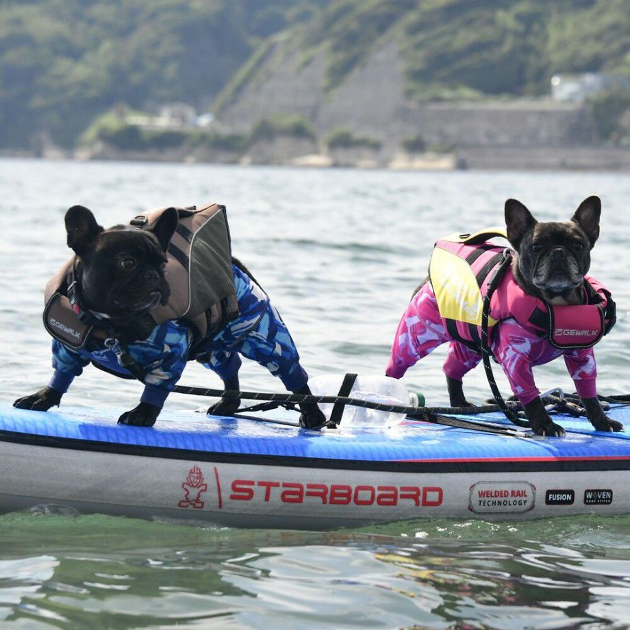 ウェーブライダー エコ ライフジャケット 犬用　 【Mサイズ】  犬  GEWALK    ライフジャケット