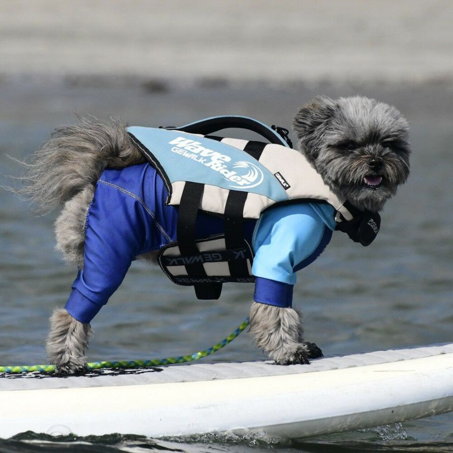 ウェーブライダー エコ ライフジャケット 犬用　 【Mサイズ】  犬  GEWALK    ライフジャケット