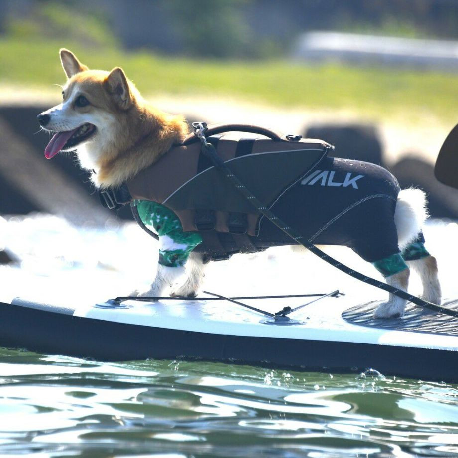 ウェーブライダー エコ ライフジャケット 犬用　 【Mサイズ】  犬  GEWALK    ライフジャケット