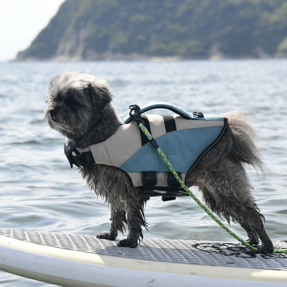 ウェーブライダー エコ ライフジャケット 犬用　 【Mサイズ】  犬  GEWALK    ライフジャケット